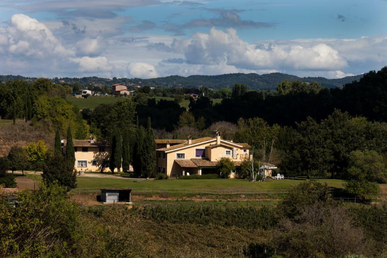 オルジアータ Borgo Del Gelso Bed & Breakfast エクステリア 写真